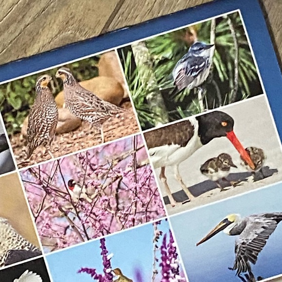 Audubon Photography 2022 16 Month Calendar - Picture 6 of 6
